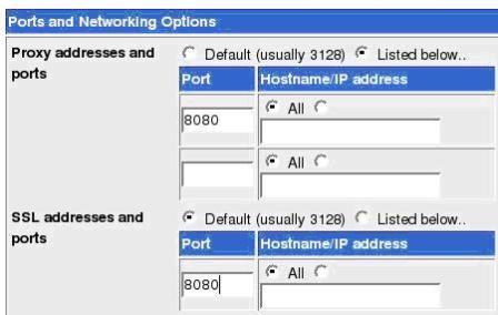 Port n Network
